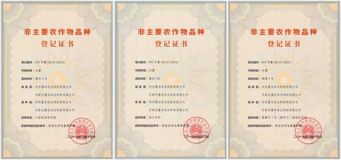 ��ҳ-RG�ʼ���Ѷ�����˹ٷ���վ