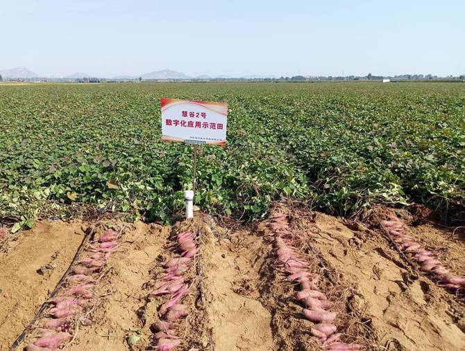 ��ҳ-RG�ʼ���Ѷ�����˹ٷ���վ