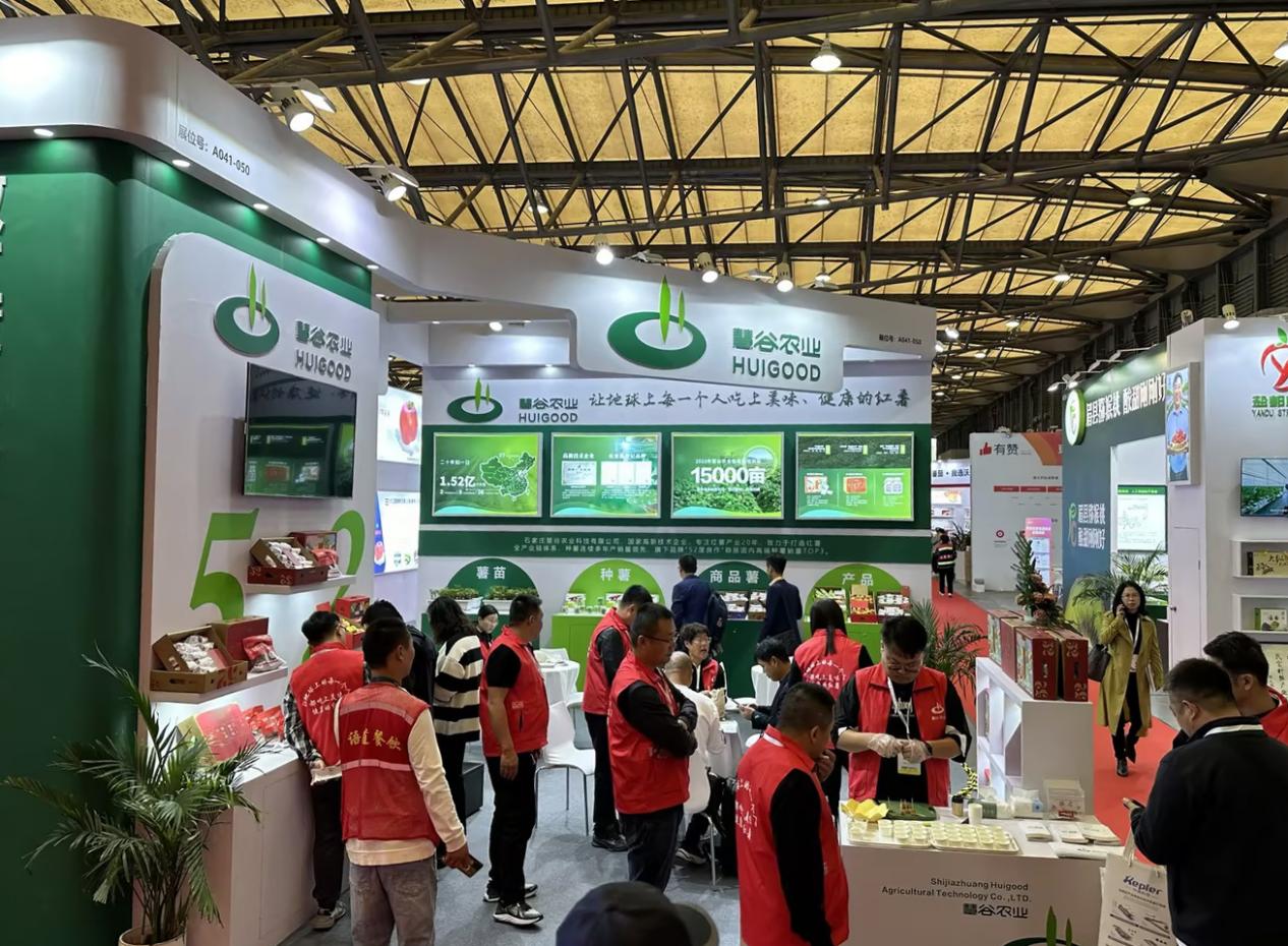 ��ҳ-RG�ʼ���Ѷ�����˹ٷ���վ