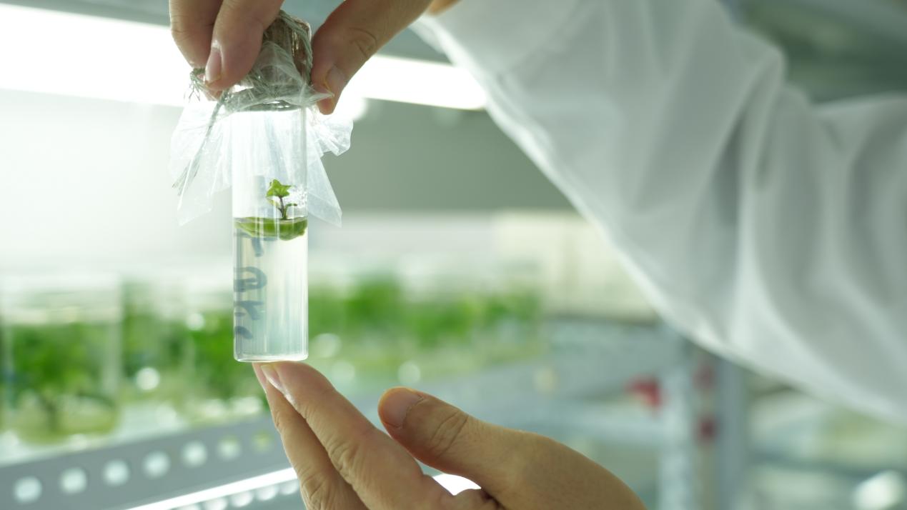 ��ҳ-RG�ʼ���Ѷ�����˹ٷ���վ