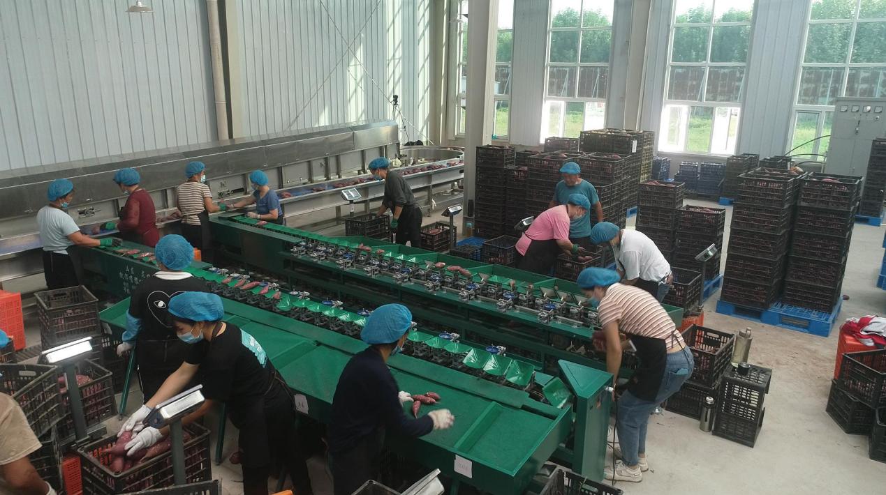 ��ҳ-RG�ʼ���Ѷ�����˹ٷ���վ