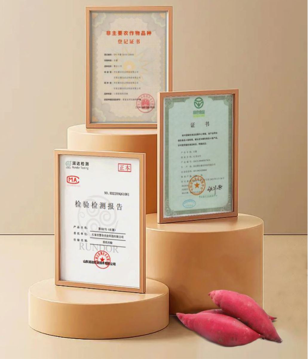 ��ҳ-RG�ʼ���Ѷ�����˹ٷ���վ