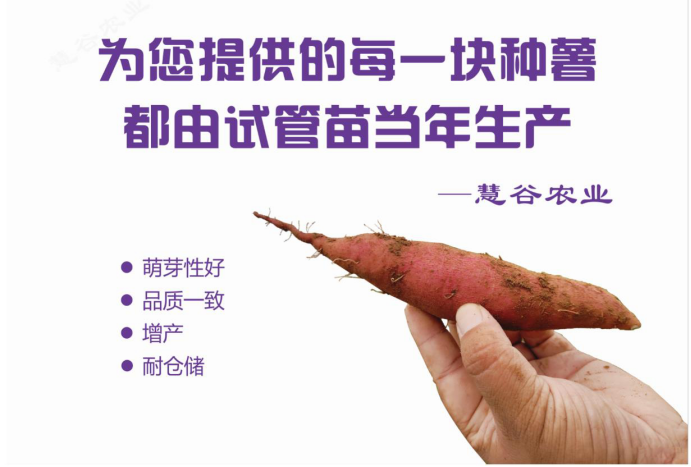 ��ҳ-RG�ʼ���Ѷ�����˹ٷ���վ