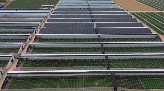 ��ҳ-RG�ʼ���Ѷ�����˹ٷ���վ