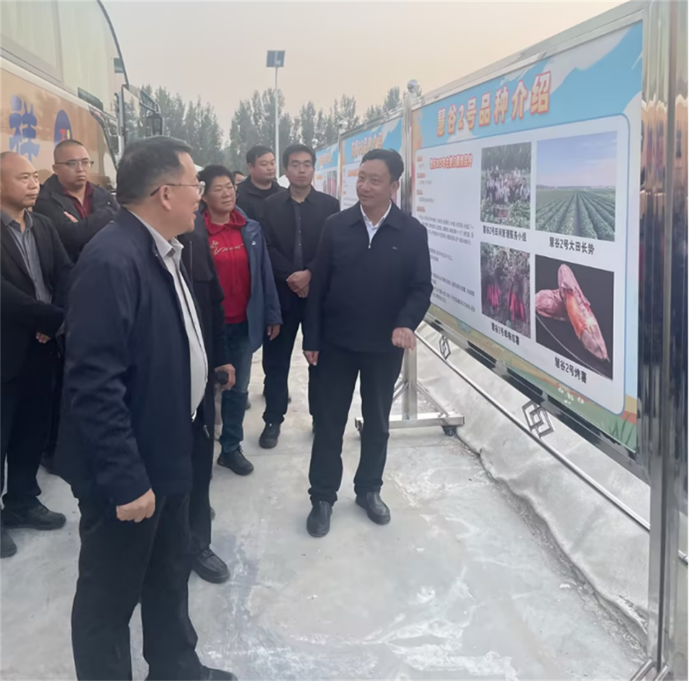 ��ҳ-RG�ʼ���Ѷ�����˹ٷ���վ