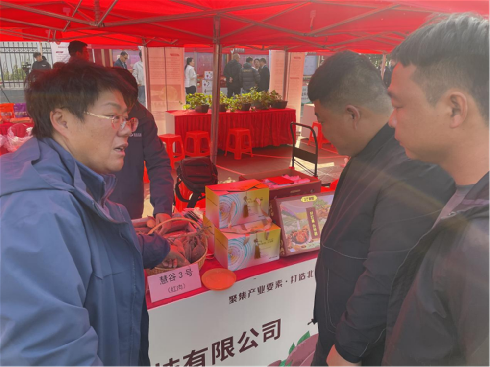 ��ҳ-RG�ʼ���Ѷ�����˹ٷ���վ