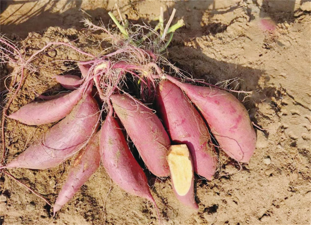 ��ҳ-RG�ʼ���Ѷ�����˹ٷ���վ