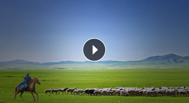 pg电子康健牛羊肉产品