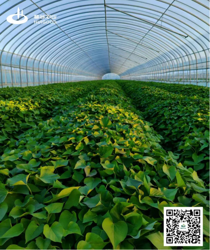 ��ҳ-RG�ʼ���Ѷ�����˹ٷ���վ