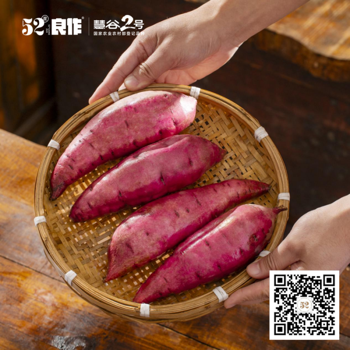 ��ҳ-RG�ʼ���Ѷ�����˹ٷ���վ