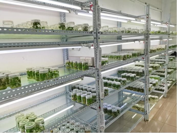 ��ҳ-RG�ʼ���Ѷ�����˹ٷ���վ