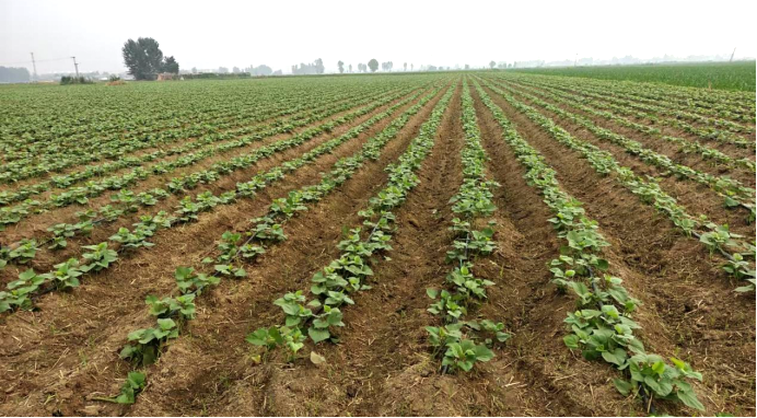 ��ҳ-RG�ʼ���Ѷ�����˹ٷ���վ