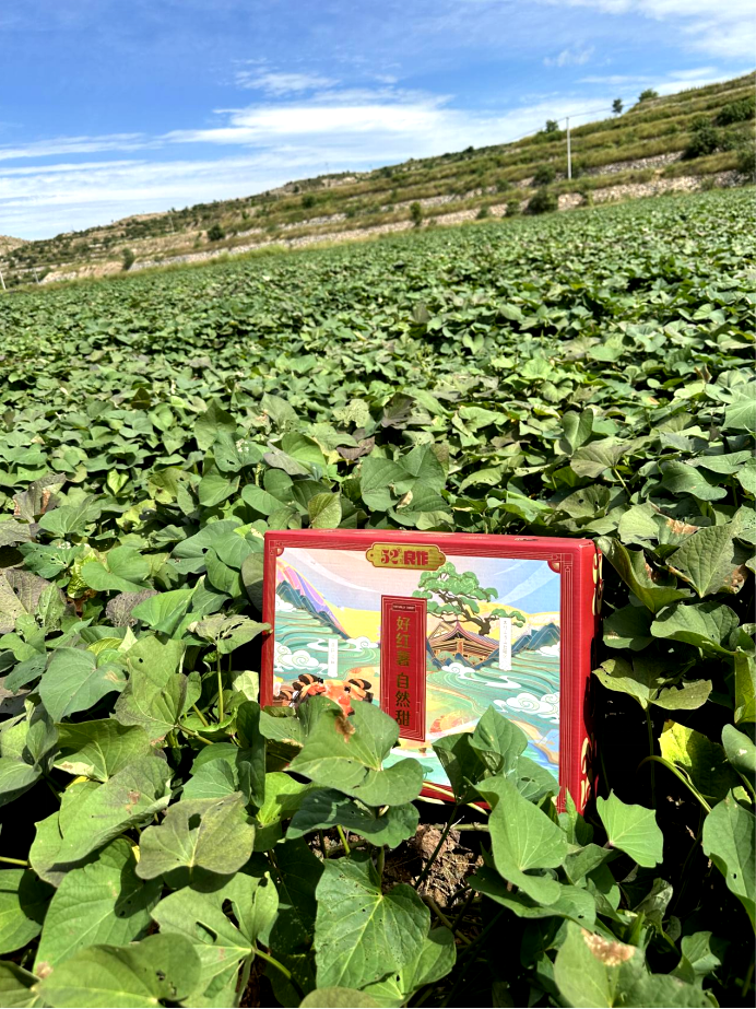 ��ҳ-RG�ʼ���Ѷ�����˹ٷ���վ