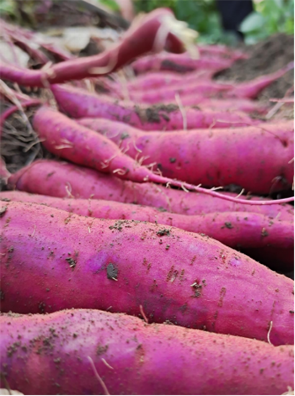 ��ҳ-RG�ʼ���Ѷ�����˹ٷ���վ