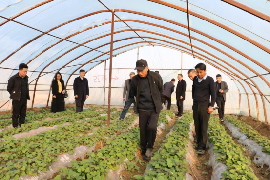 ��ҳ-RG�ʼ���Ѷ�����˹ٷ���վ