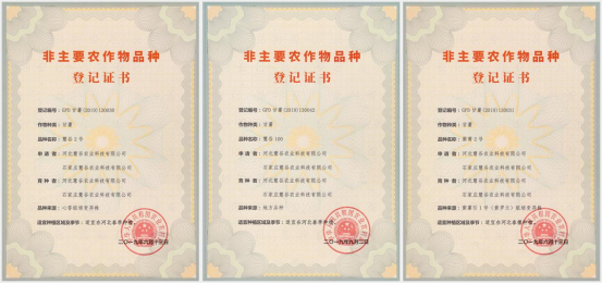 ��ҳ-RG�ʼ���Ѷ�����˹ٷ���վ