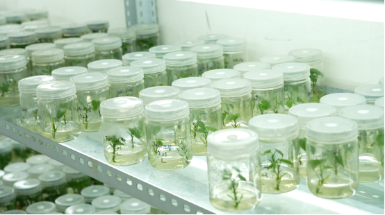 ��ҳ-RG�ʼ���Ѷ�����˹ٷ���վ