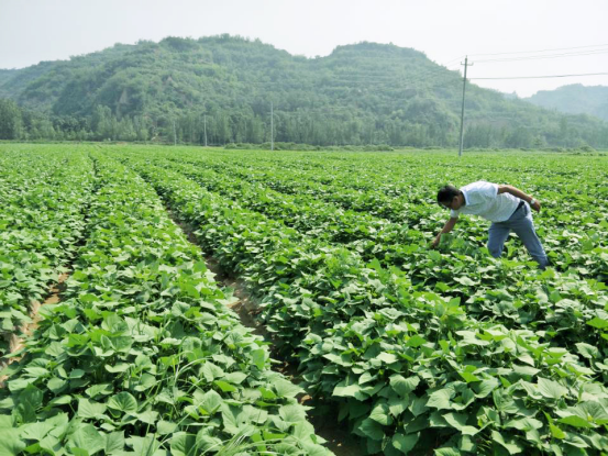 ��ҳ-RG�ʼ���Ѷ�����˹ٷ���վ