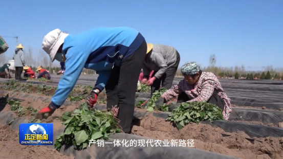 ��ҳ-RG�ʼ���Ѷ�����˹ٷ���վ