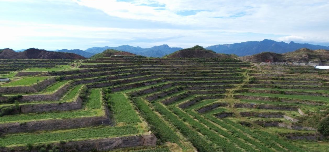 ��ҳ-RG�ʼ���Ѷ�����˹ٷ���վ