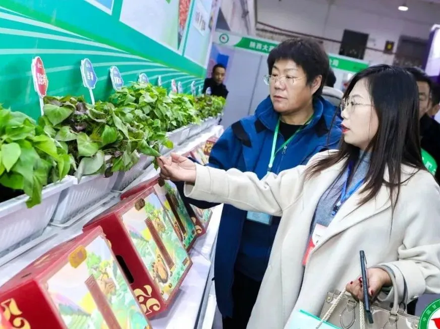 ��ҳ-RG�ʼ���Ѷ�����˹ٷ���վ