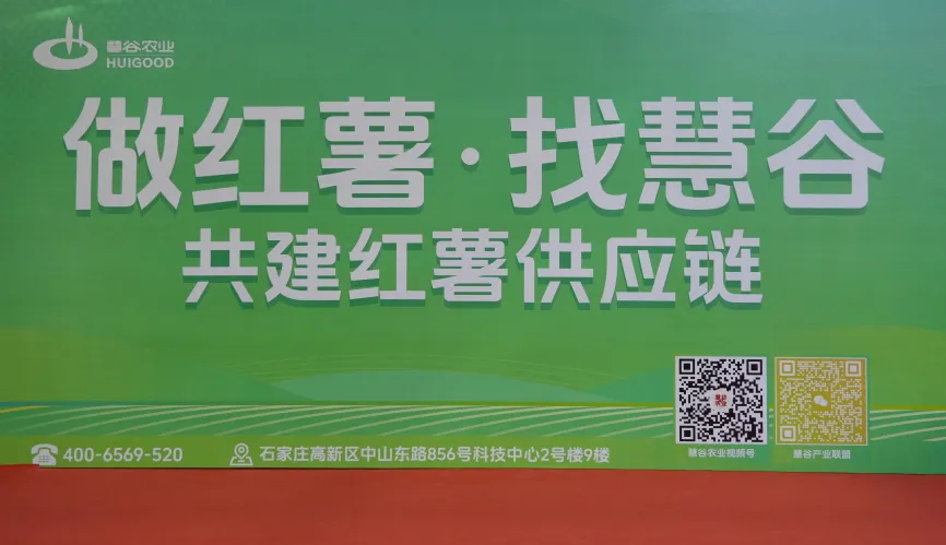 ��ҳ-RG�ʼ���Ѷ�����˹ٷ���վ