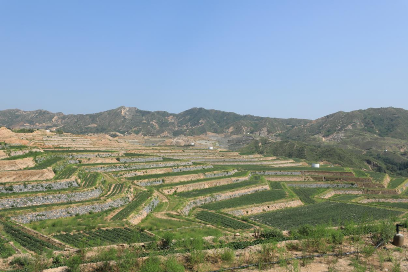 ��ҳ-RG�ʼ���Ѷ�����˹ٷ���վ