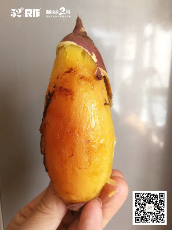 ��ҳ-RG�ʼ���Ѷ�����˹ٷ���վ