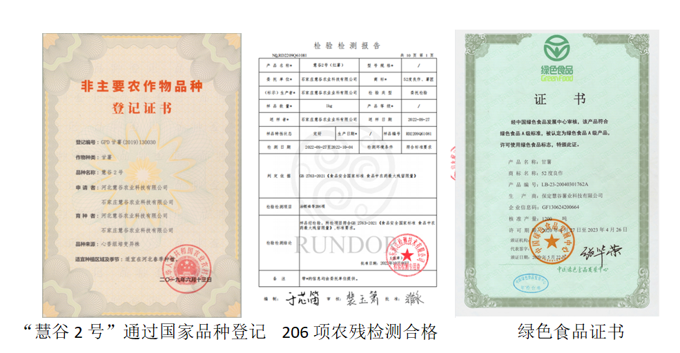 ��ҳ-RG�ʼ���Ѷ�����˹ٷ���վ