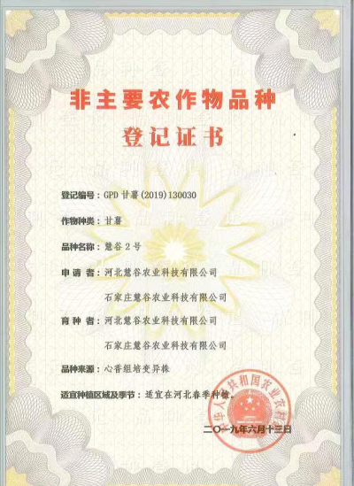 ��ҳ-RG�ʼ���Ѷ�����˹ٷ���վ