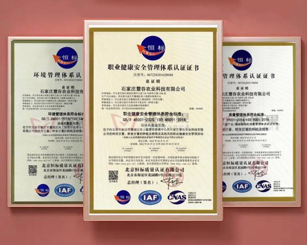 ��ҳ-RG�ʼ���Ѷ�����˹ٷ���վ