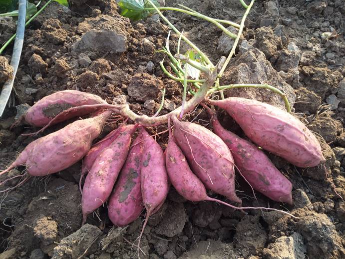 ��ҳ-RG�ʼ���Ѷ�����˹ٷ���վ