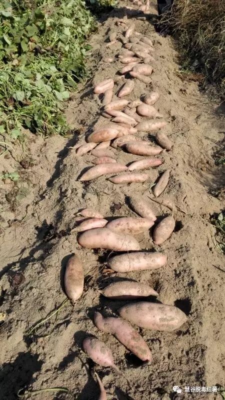 ��ҳ-RG�ʼ���Ѷ�����˹ٷ���վ