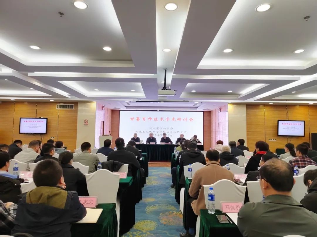 ��ҳ-RG�ʼ���Ѷ�����˹ٷ���վ