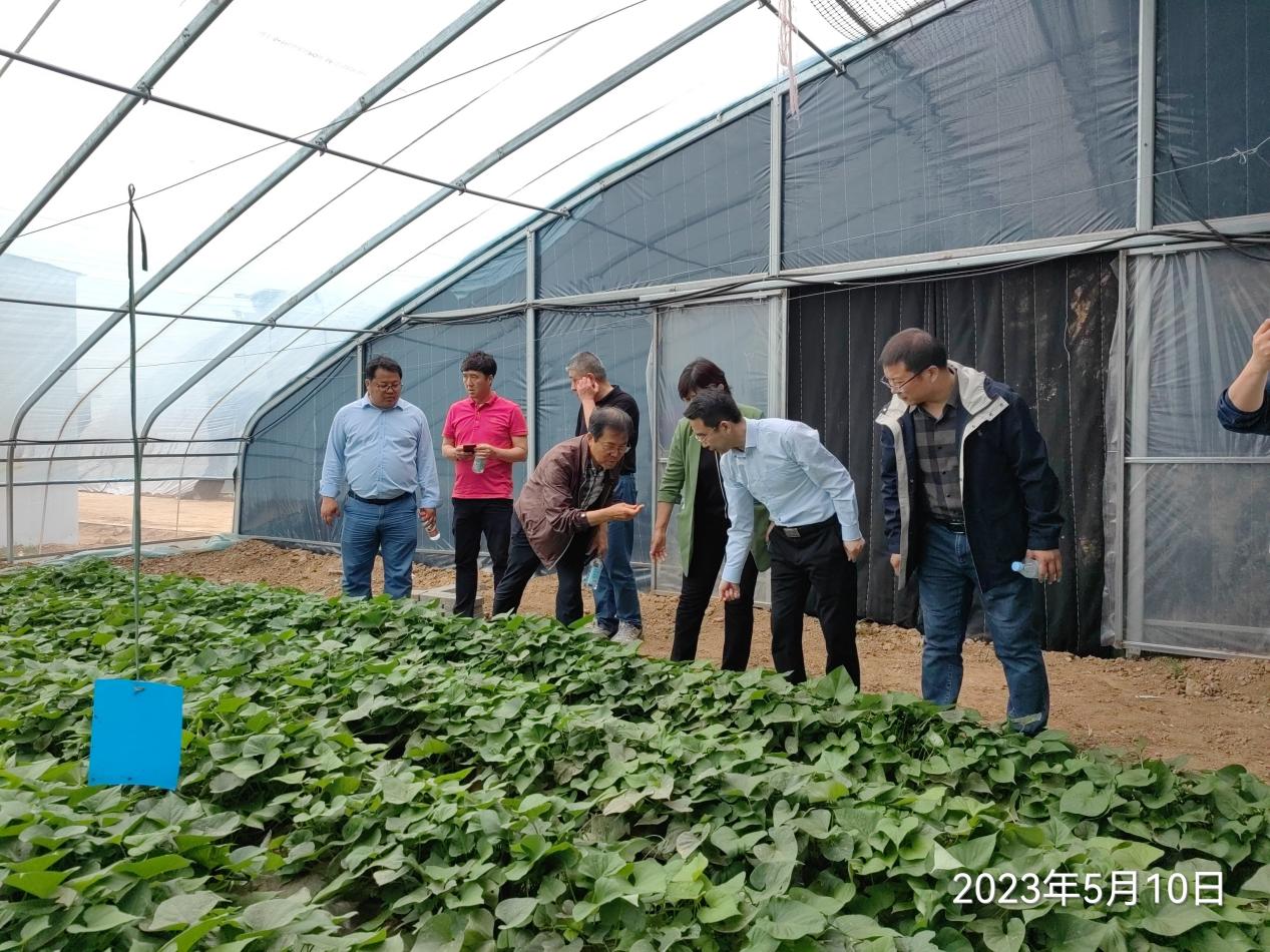 ��ҳ-RG�ʼ���Ѷ�����˹ٷ���վ