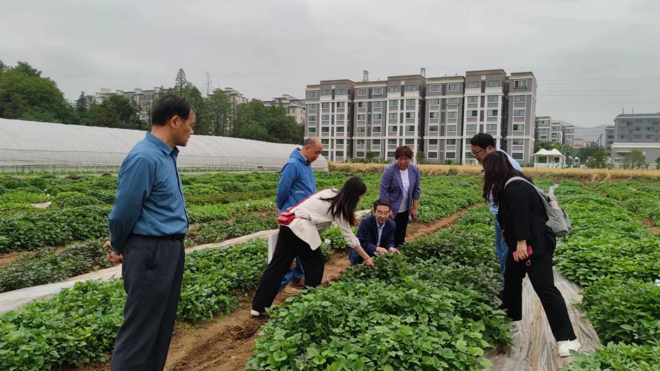 ��ҳ-RG�ʼ���Ѷ�����˹ٷ���վ