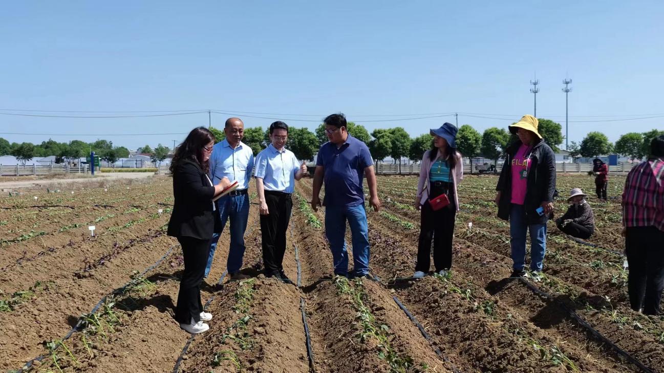 ��ҳ-RG�ʼ���Ѷ�����˹ٷ���վ